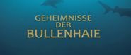 Geheimnisse der Bullenhaie