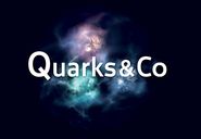 Quarks & Co.