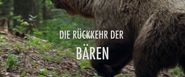 Die Rückkehr der Bären