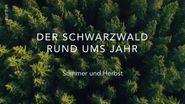 Der Schwarzwald rund ums Jahr