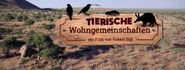 Tierische Wohngemeinschaften