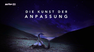 Die Kunst der Anpassung