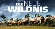 Die neue Wildnis