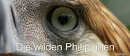 Die wilden Philippinen