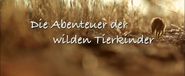 Die Abenteuer der wilden Tierkinder