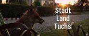 Stadt, Land, Fuchs!