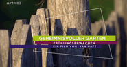 Geheimnisvoller Garten