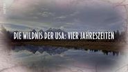 Die Wildnis der USA: Vier Jahreszeiten