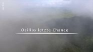 Ocillas letzte Chance