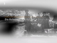 Sterben an der Ostfront