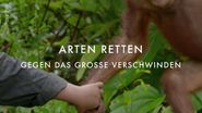 Arten retten: Gegen das große Verschwinden