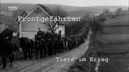 Frontgefährten: Tiere im Krieg