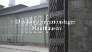 Das Konzentrationslager Mauthausen