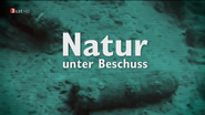 Natur unter Beschuss: Ökologische Folgen des Krieges