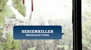 Serienkiller