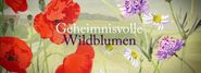 Geheimnisvolle Wildblumen