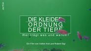 Die Kleiderordnung der Tiere: Wer trägt was und warum?