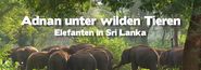 Adnan unter wilden Tieren