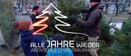 Alle Jahre wieder: Abenteuer Christbaumkauf