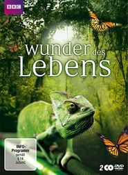 Wunder des Lebens