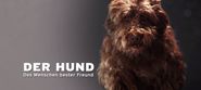 Der Hund: Des Menschen bester Freund