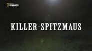 Killer Spitzmaus