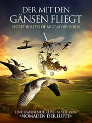 Der mit den Gänsen fliegt