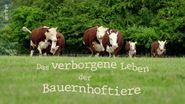 Das verborgene Leben der Bauernhoftiere