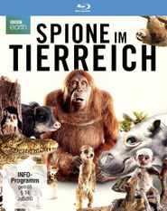 Terra X: Spione im Tierreich