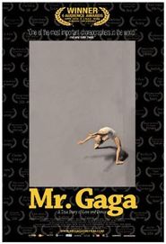 Mr. Gaga