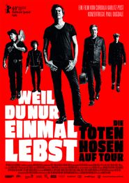 Weil du nur einmal lebst: Die Toten Hosen auf Tour