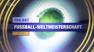 Projekt Fussball-Weltmeisterschaft