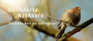 Gefiederte Nachbarn: Die bunte Welt der Gartenvögel