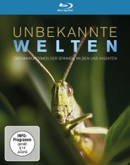 Unbekannte Welten: Der Mikrokosmos der Spinnen, Milben und Insekten