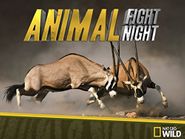 Animal Fight Club