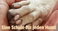 Eine Schule für jeden Hund