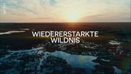 Wiedererstarkte Wildnis