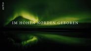 Im hohen Norden geboren