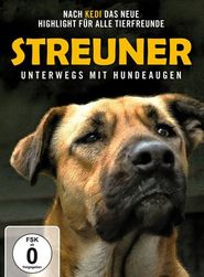 Streuner: Unterwegs mit Hundeaugen