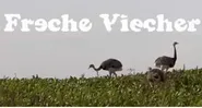 Freche Viecher