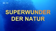 Superwunder der Natur