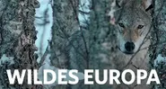 Wildes Europa