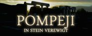 Pompeji in Stein verewigt