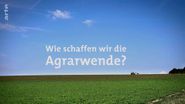 Wie schaffen wir die Agrarwende?