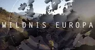 Wildnis Europa