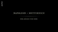 Napoleon - Metternich: Der Anfang vom Ende